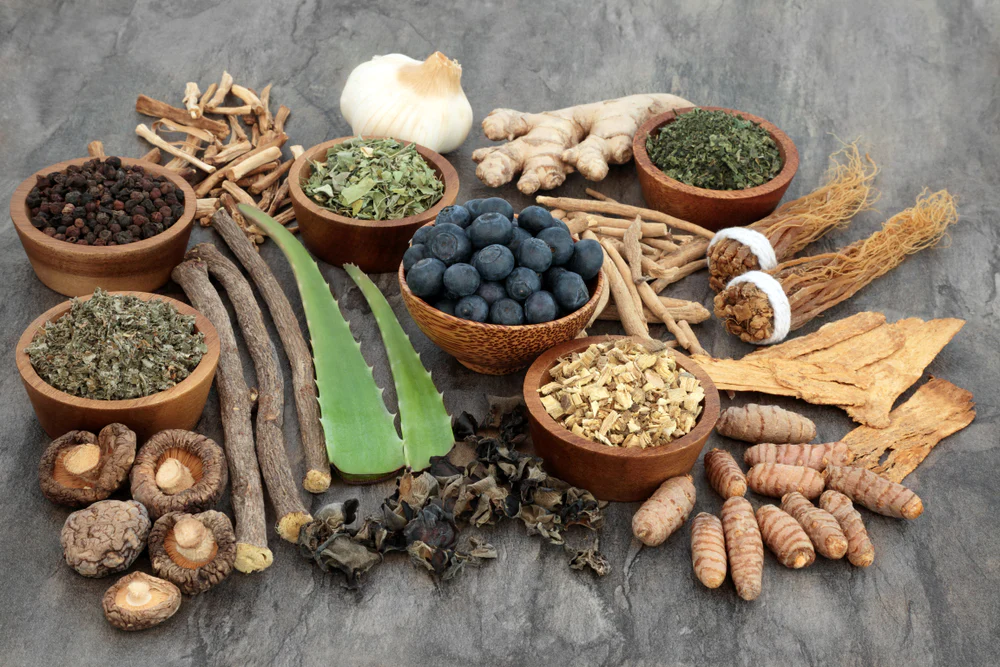 Nature’s Antioxidants: 7 Herbs That Boost Your Immune System